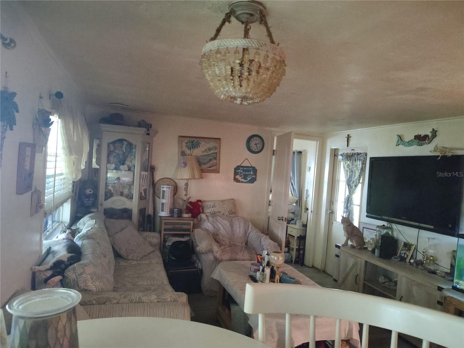 Living Area - 37748 MARKLAND AVE, ZEPHYRHILLS