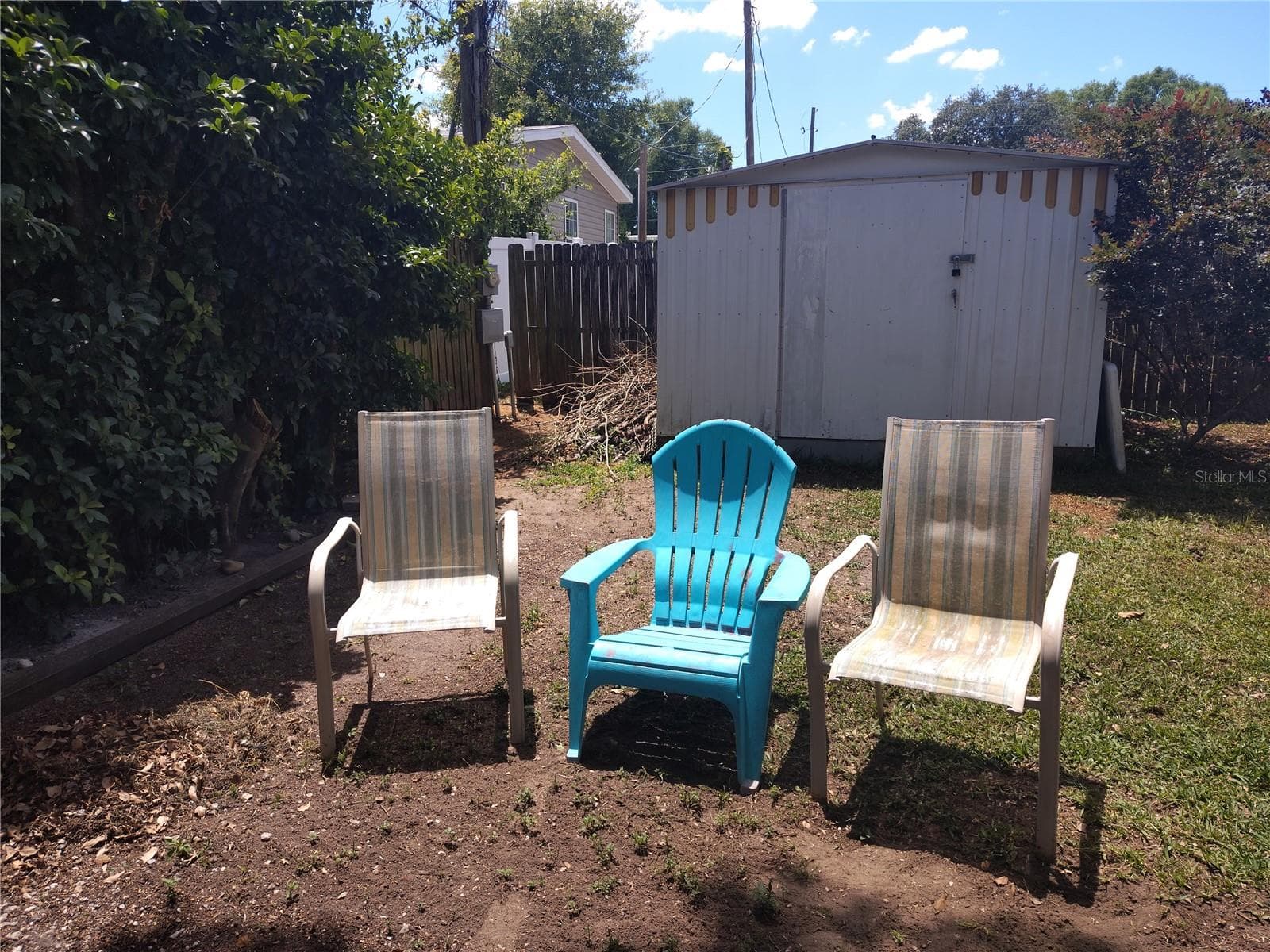 backyard area - 37748 MARKLAND AVE, ZEPHYRHILLS