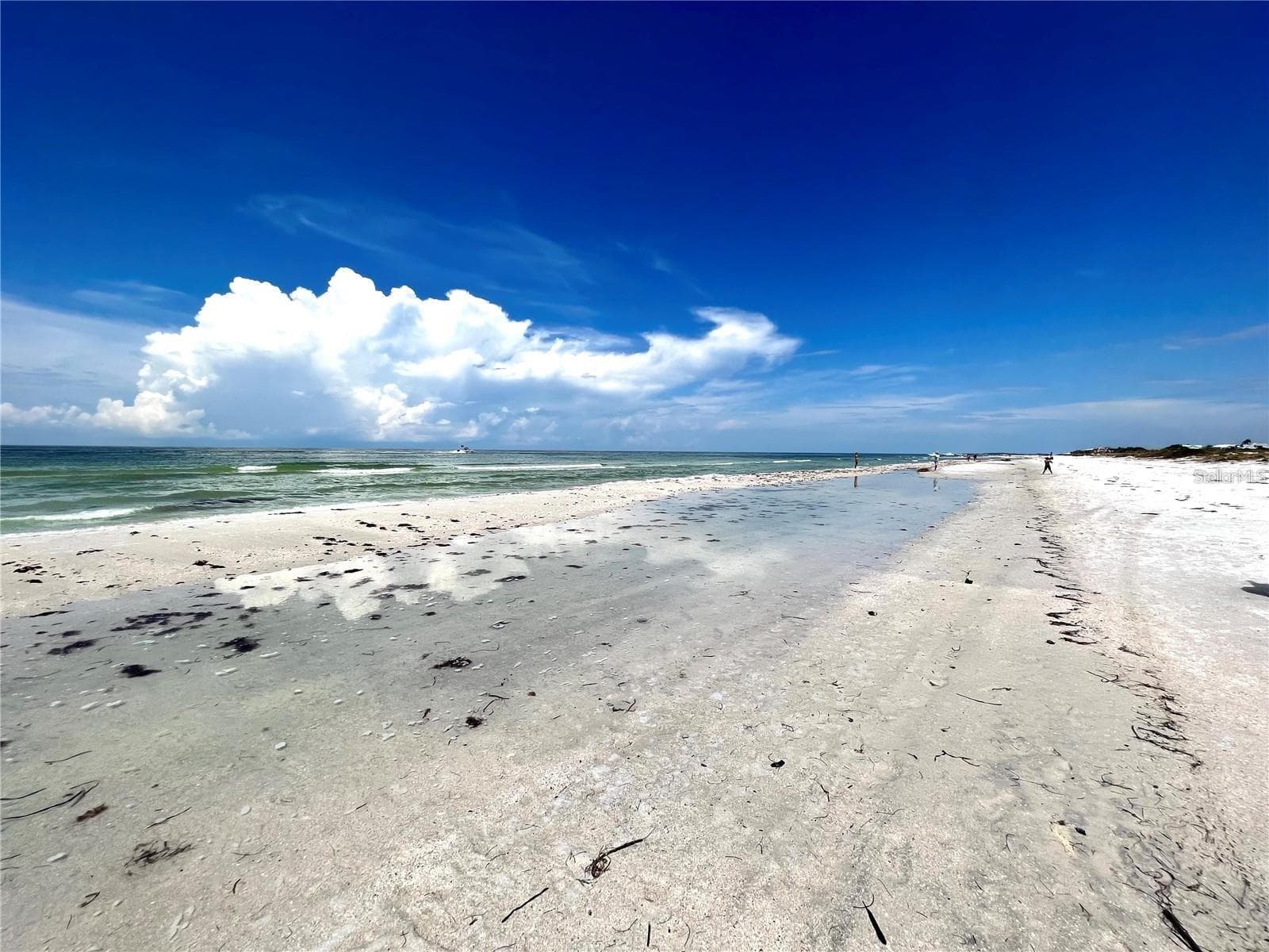 Condominium at 880 MANDALAY AVE #N610, CLEARWATER BEACH, photo 89 of 98