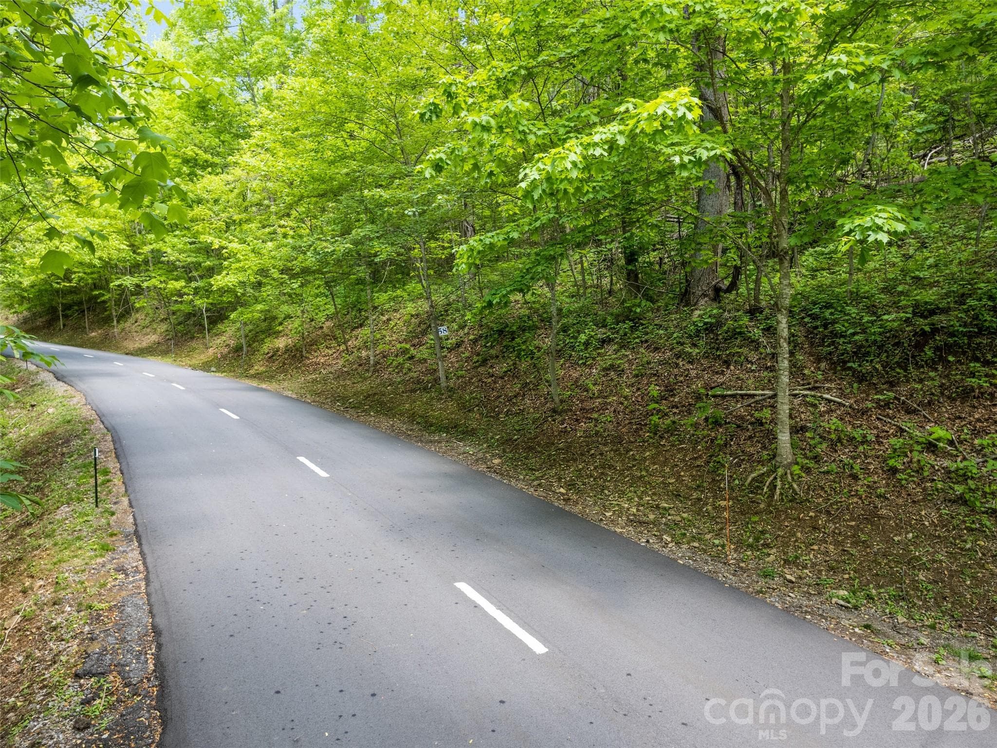 Lot at Waynesville, photo 2 of 8
