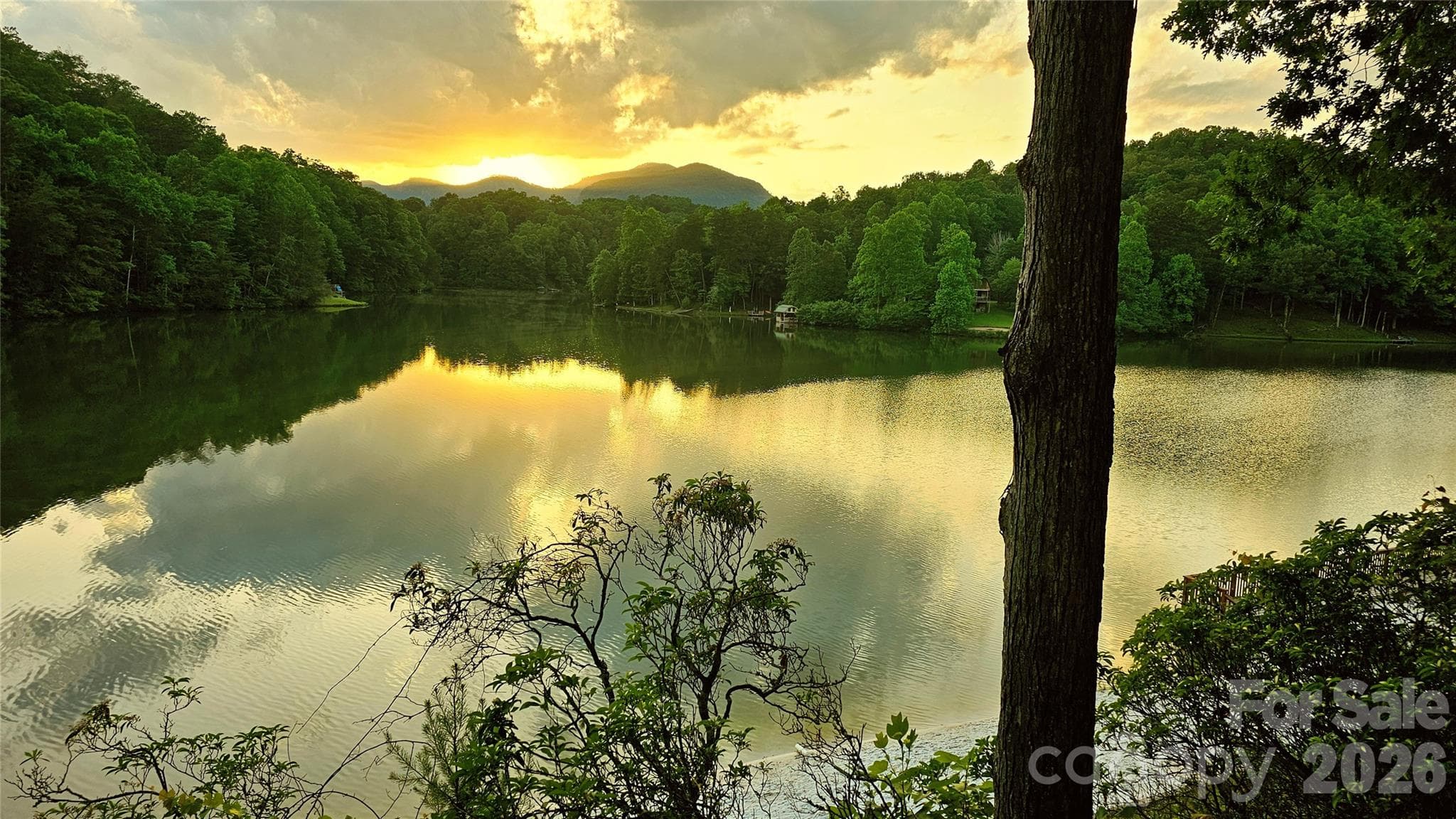 Amenities with several picnic areas, Lake with beach and walking trails. - Lake Lure