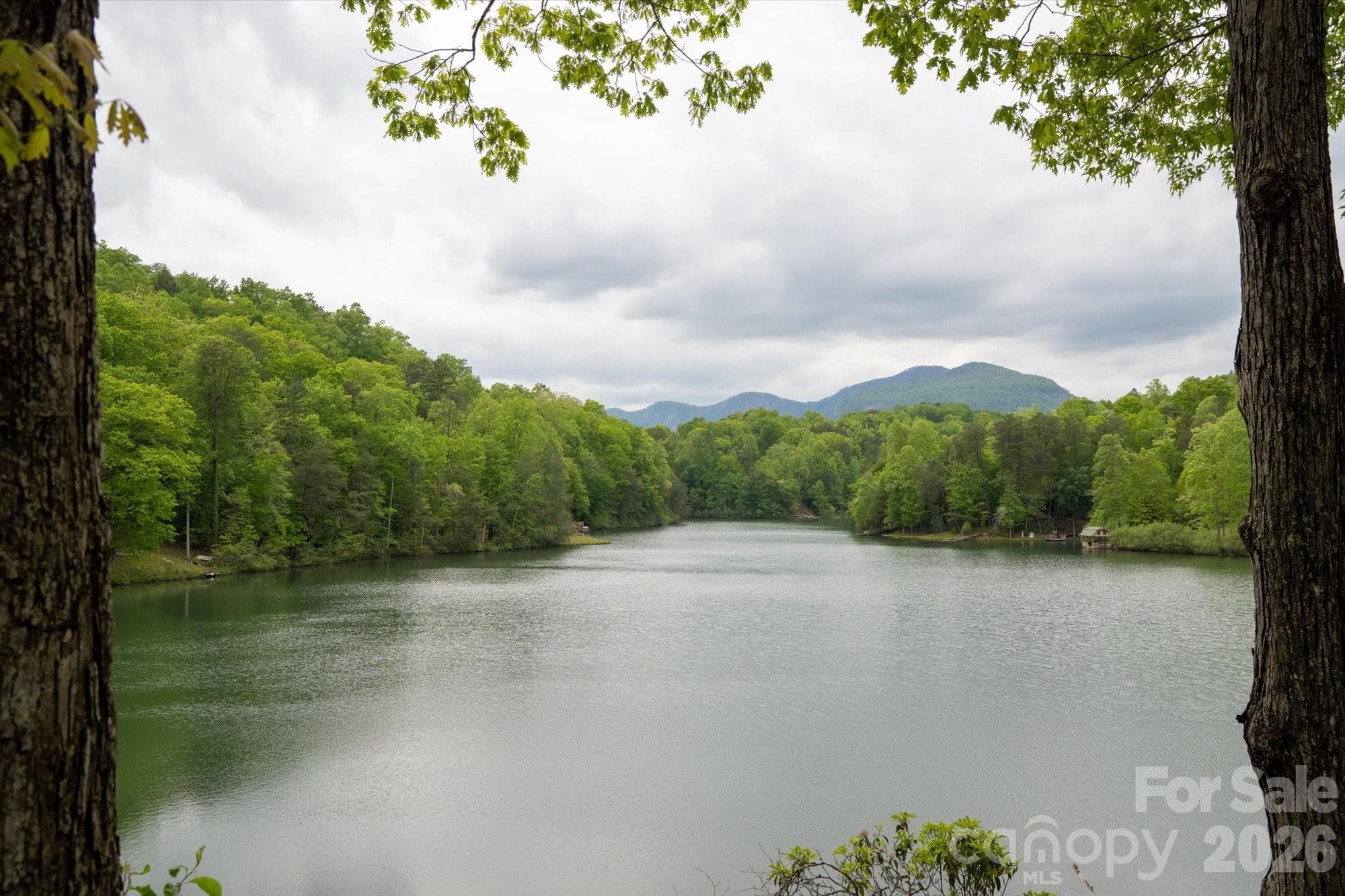 Lot at Lake Lure, photo 15 of 45