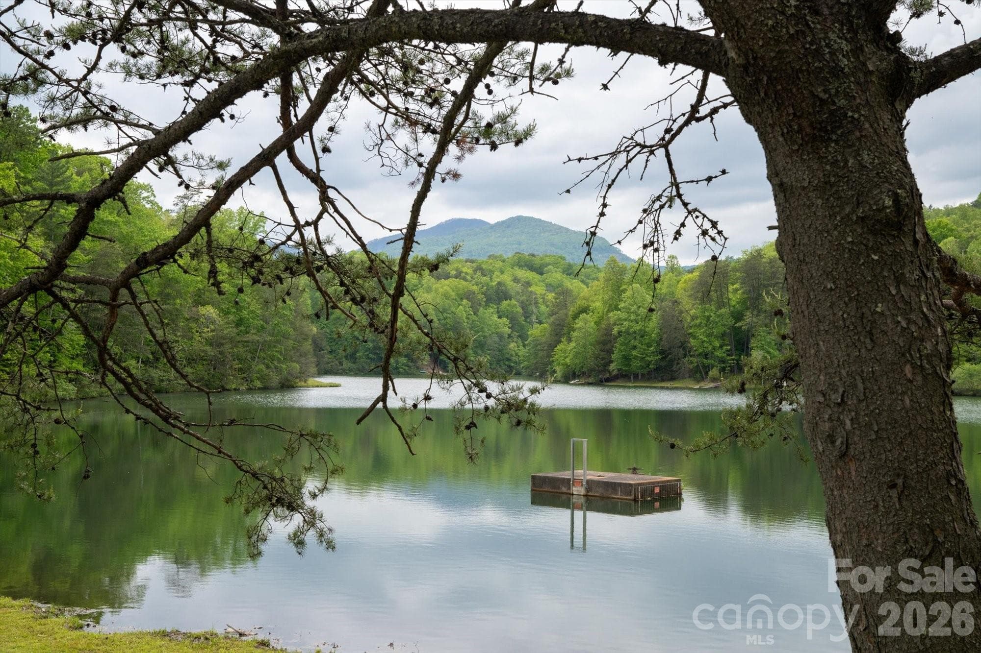 Lot at Lake Lure, photo 16 of 45