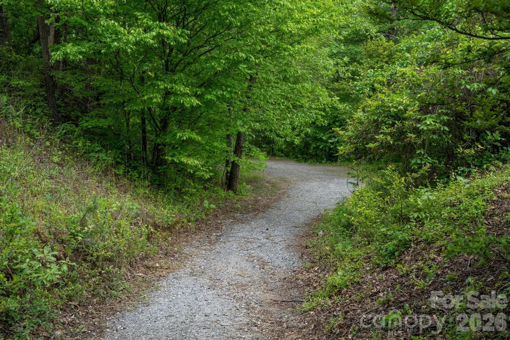 Hiking Trail to/from waterfall and the Broad River (parking area is across from Big Mirror Lake) - Lake Lure