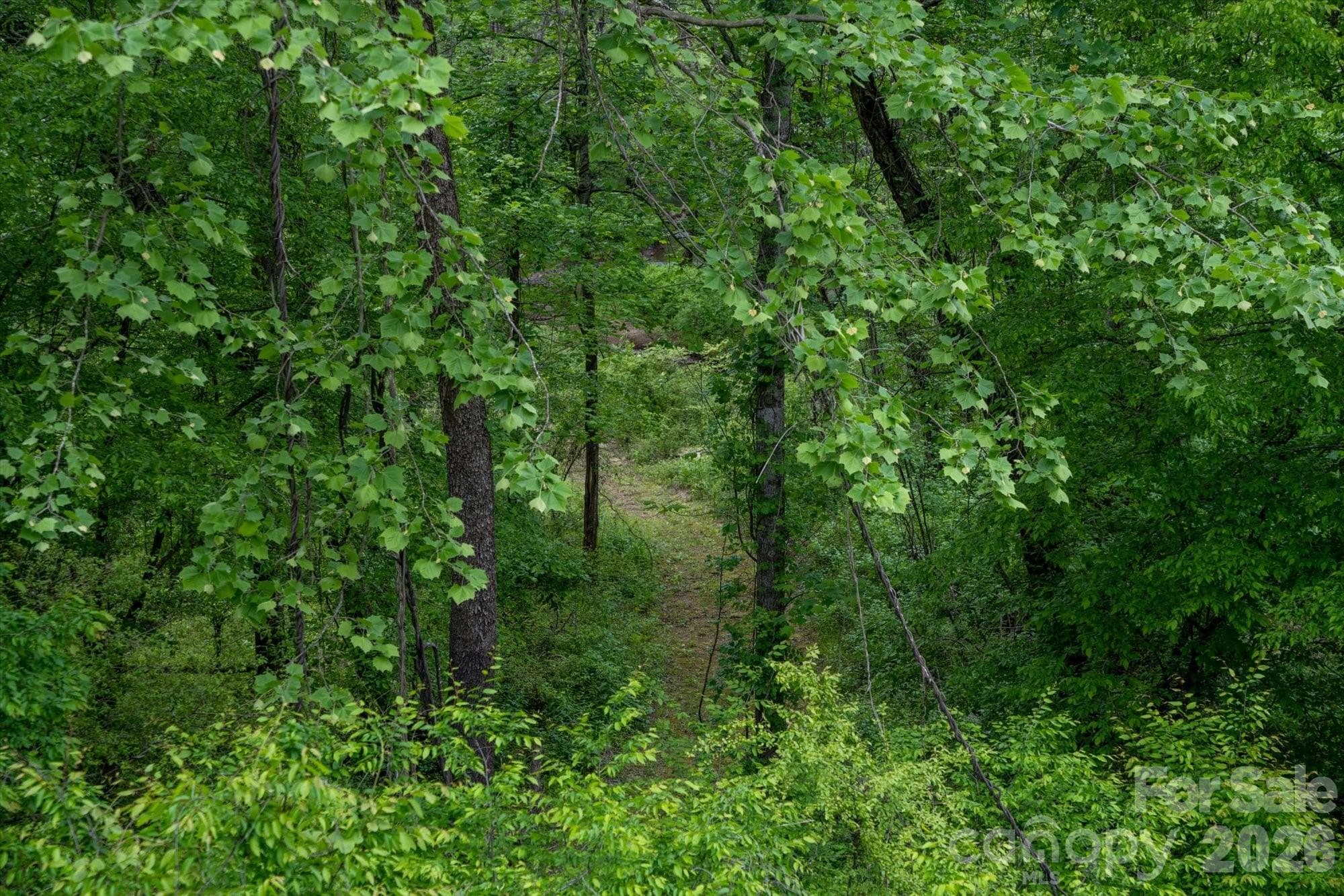Lot at Lake Lure, photo 31 of 45
