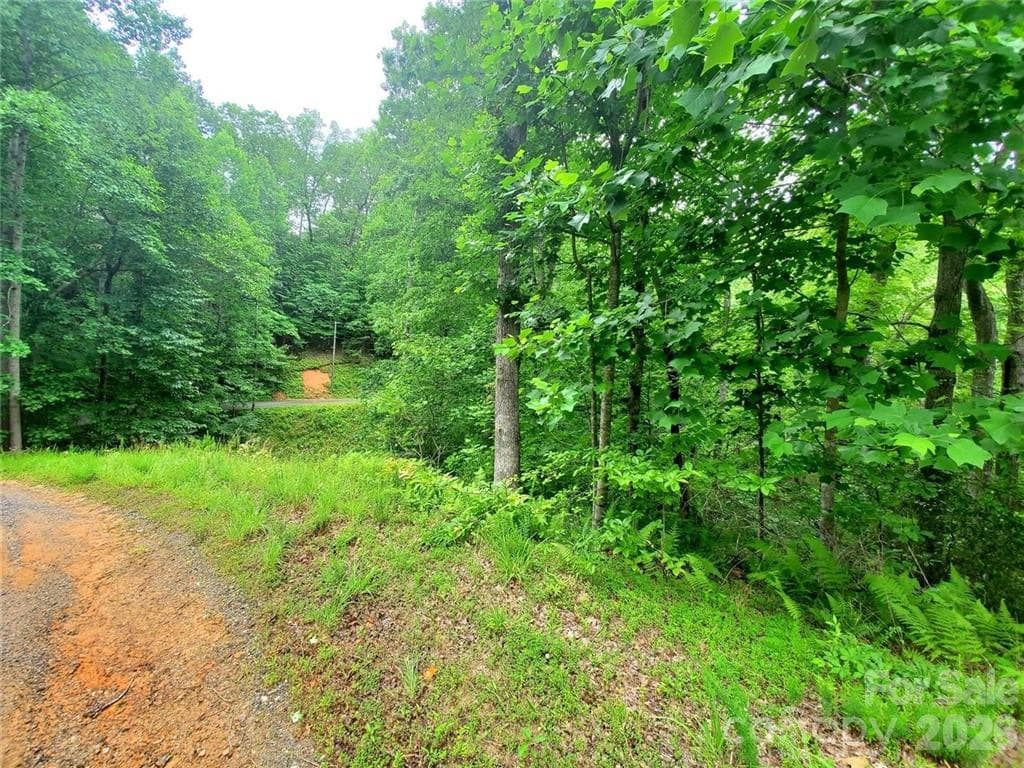Lot begins on the right after the driveway in place for a STR - Lake Lure