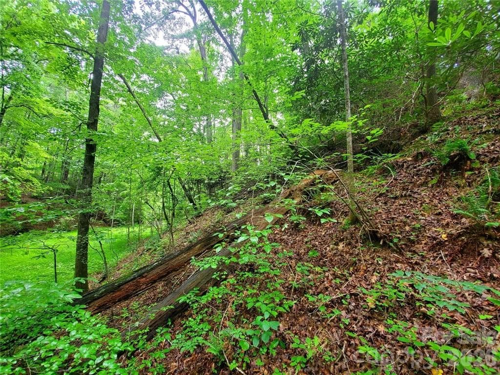 Lot at Lake Lure, photo 34 of 45