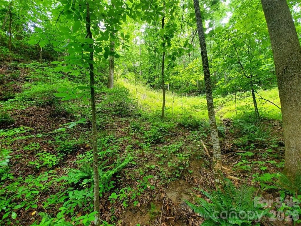 Quotes for grading and prep work are/have been done for land/home package - Lake Lure