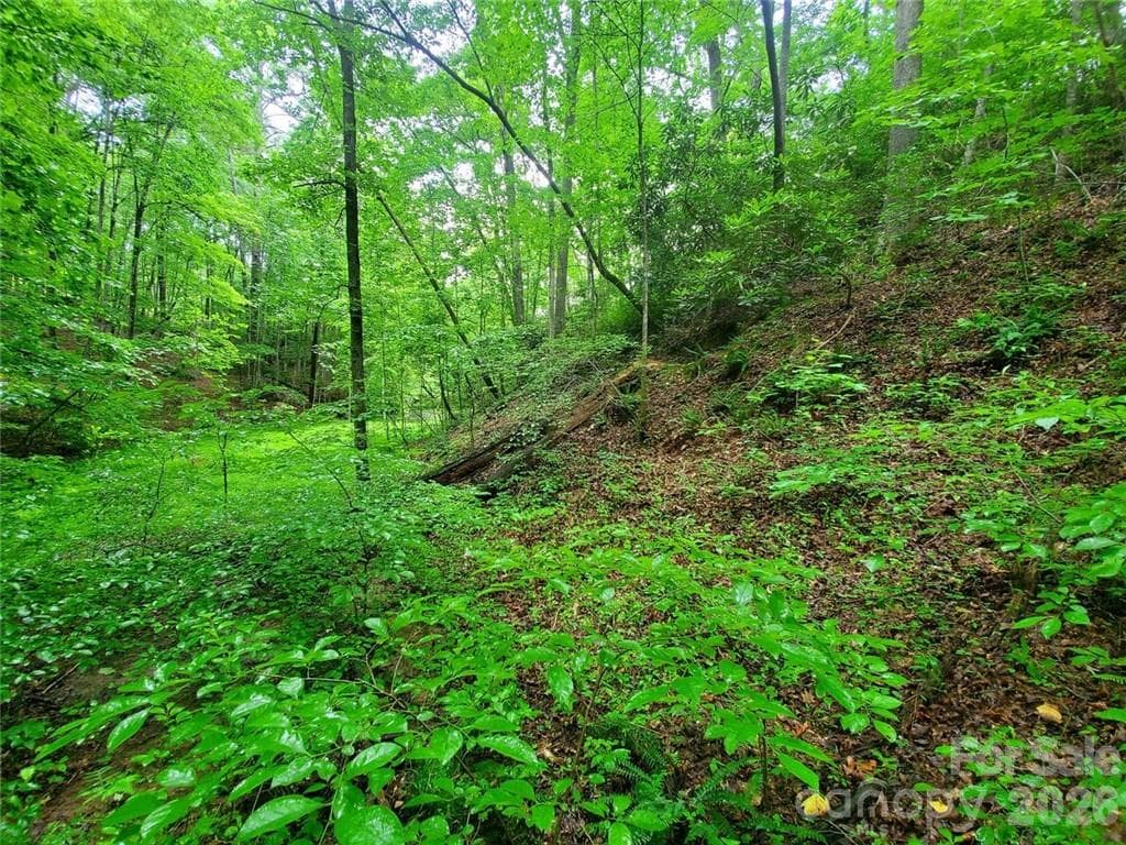 Lot at Lake Lure, photo 36 of 45