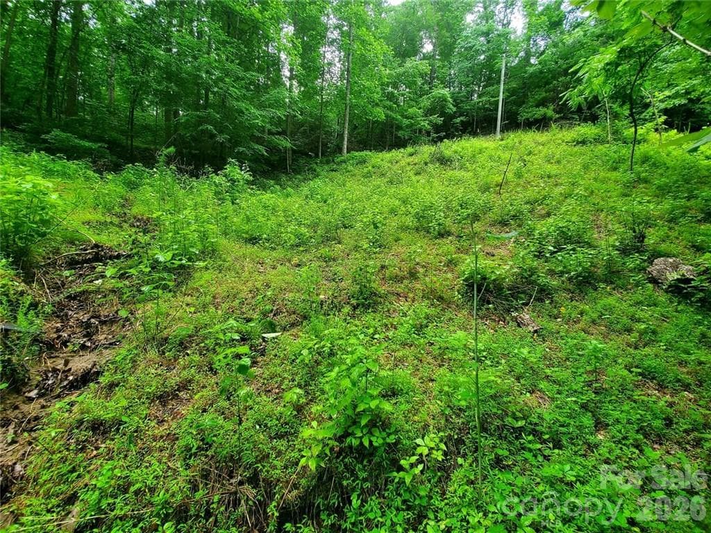 Lot at Lake Lure, photo 37 of 45