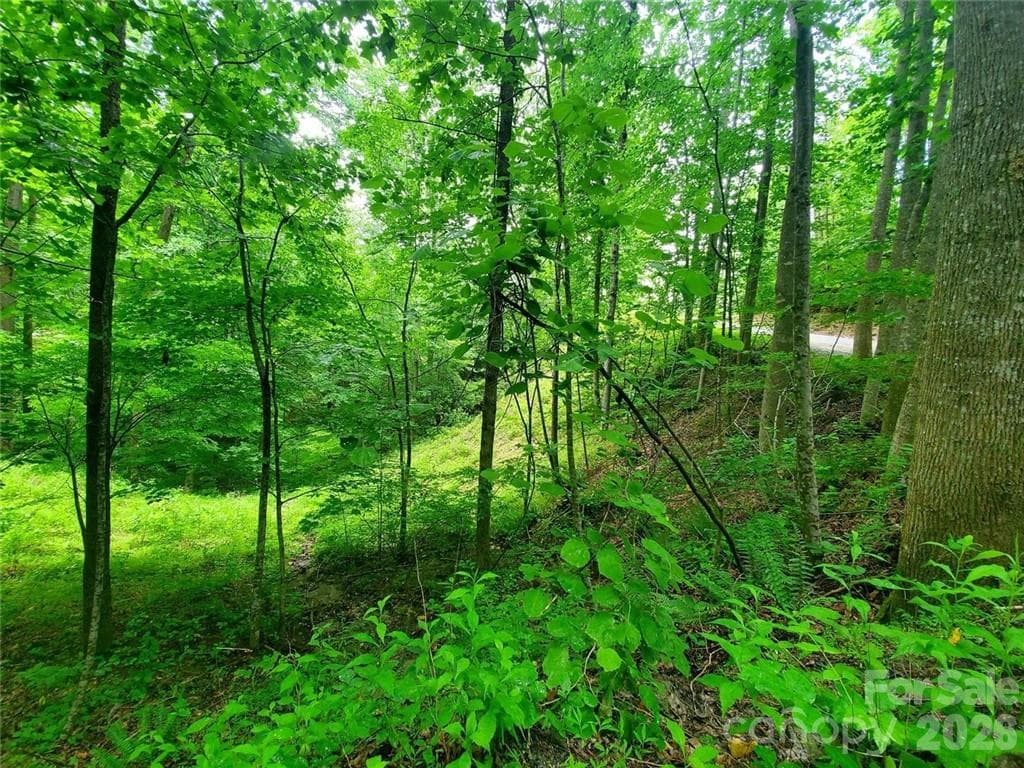 Lot at Lake Lure, photo 39 of 45