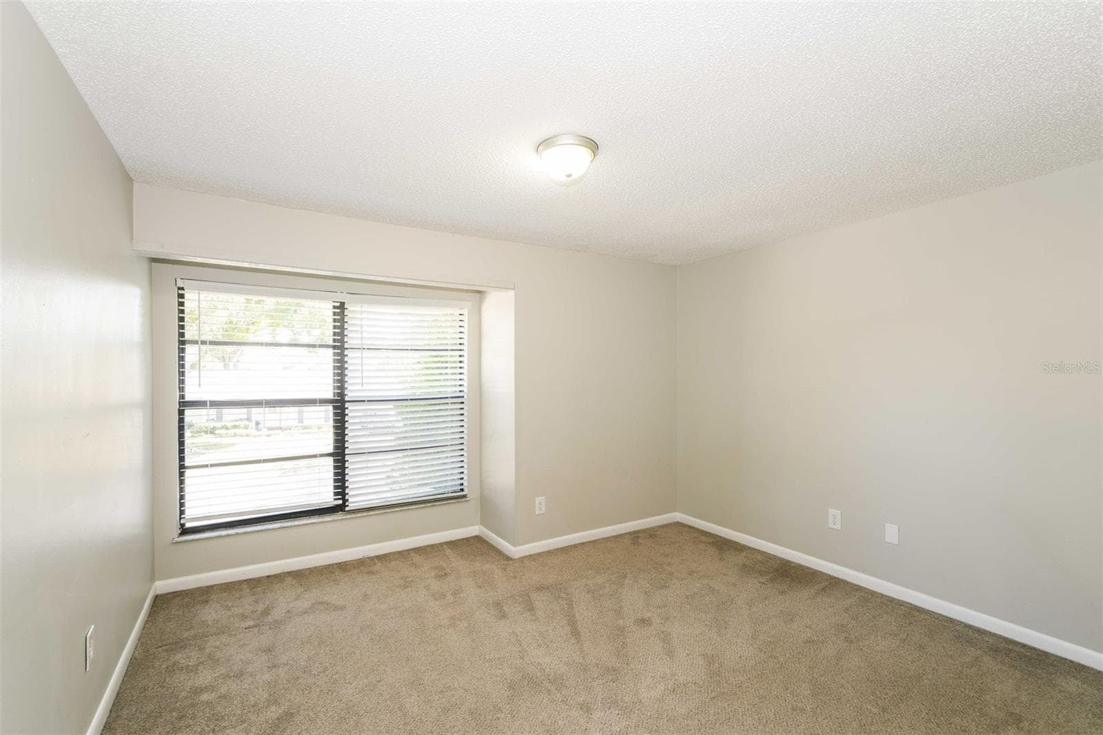 Single Family Residence at 8229 MALVERN CIR, TAMPA, photo 11 of 22