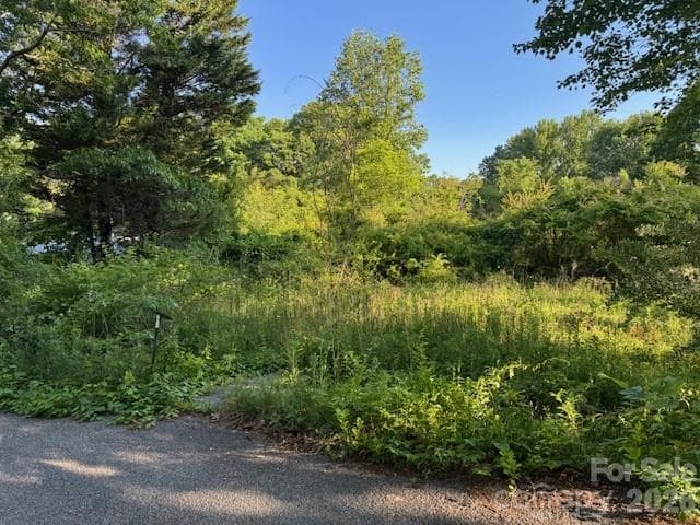 Lot at Hendersonville, photo 2 of 3