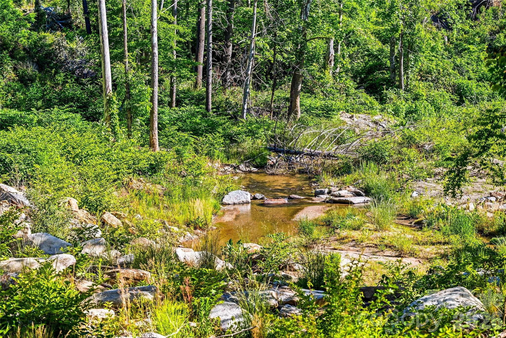 Listen to the sounds of the bold creek behind the home! - Hendersonville