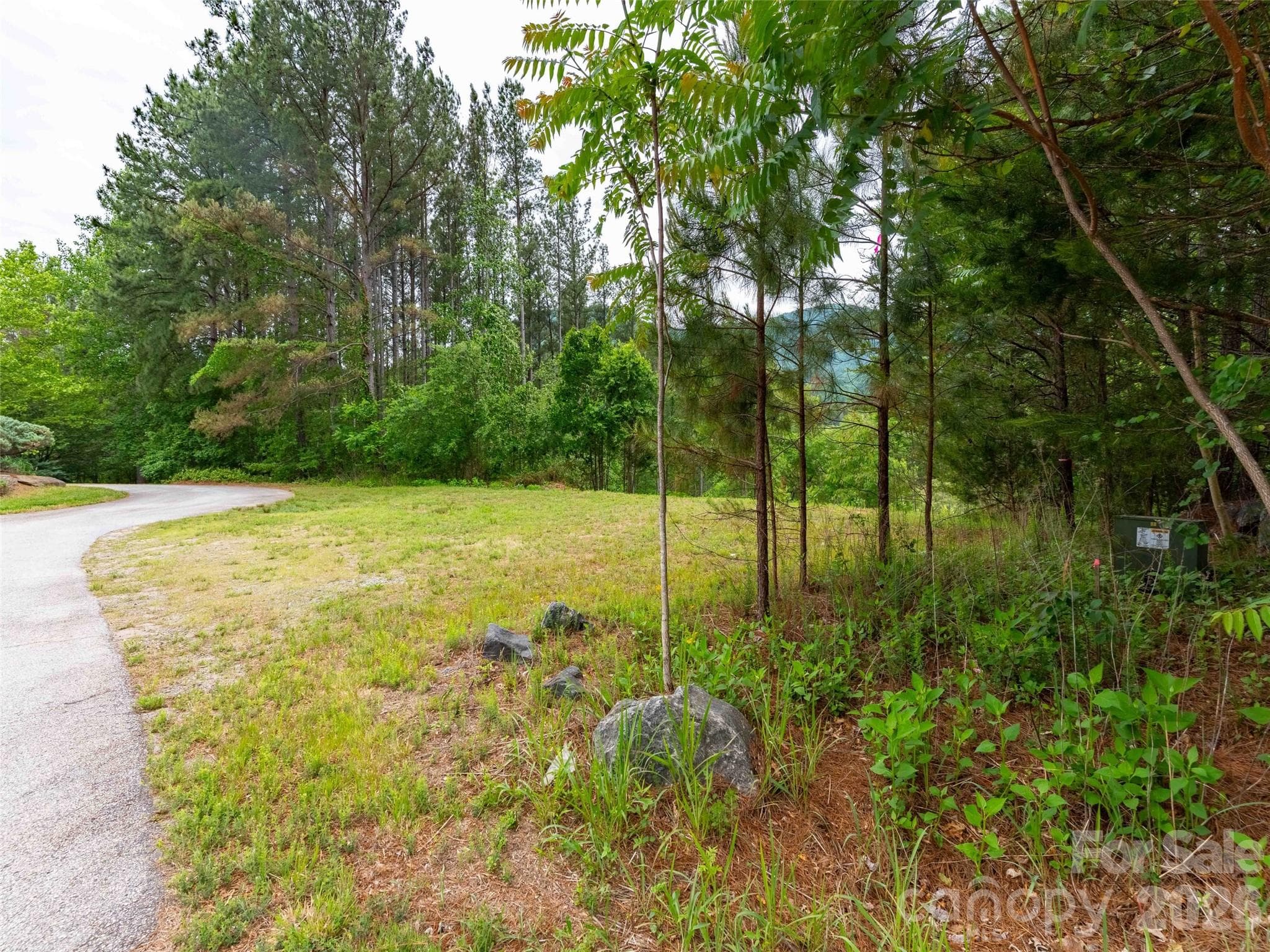 Lot at Mill Spring, photo 2 of 24