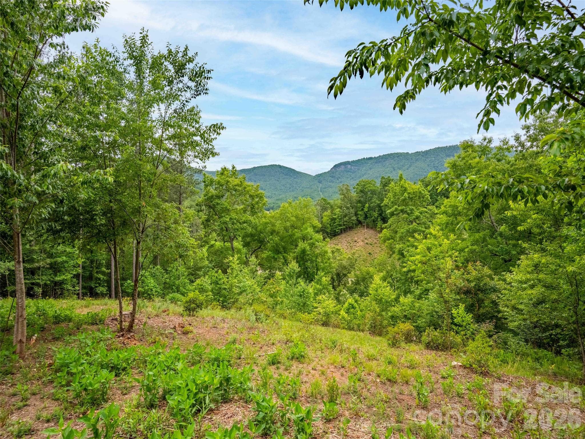 Lot at Mill Spring, photo 4 of 24