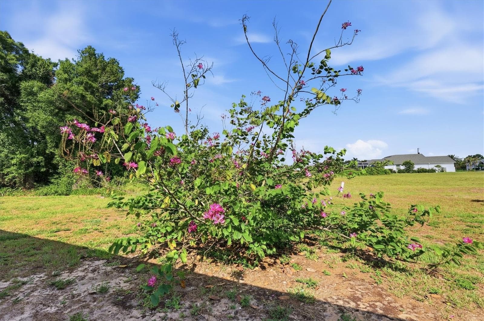 Single Family Residence at 258 RIO DE JANEIRO AVE, PUNTA GORDA, photo 40 of 59