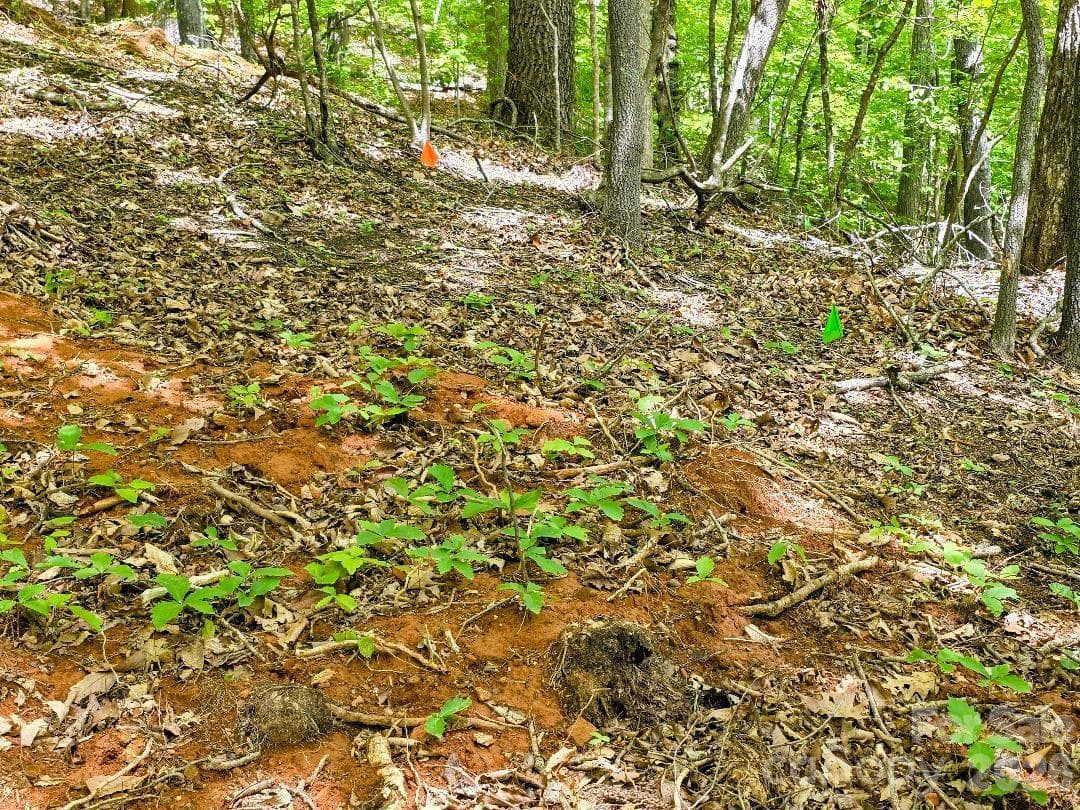 Site of permitted septic system - Burnsville