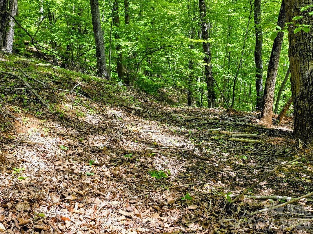 Old soil road on Lot 12 - Burnsville