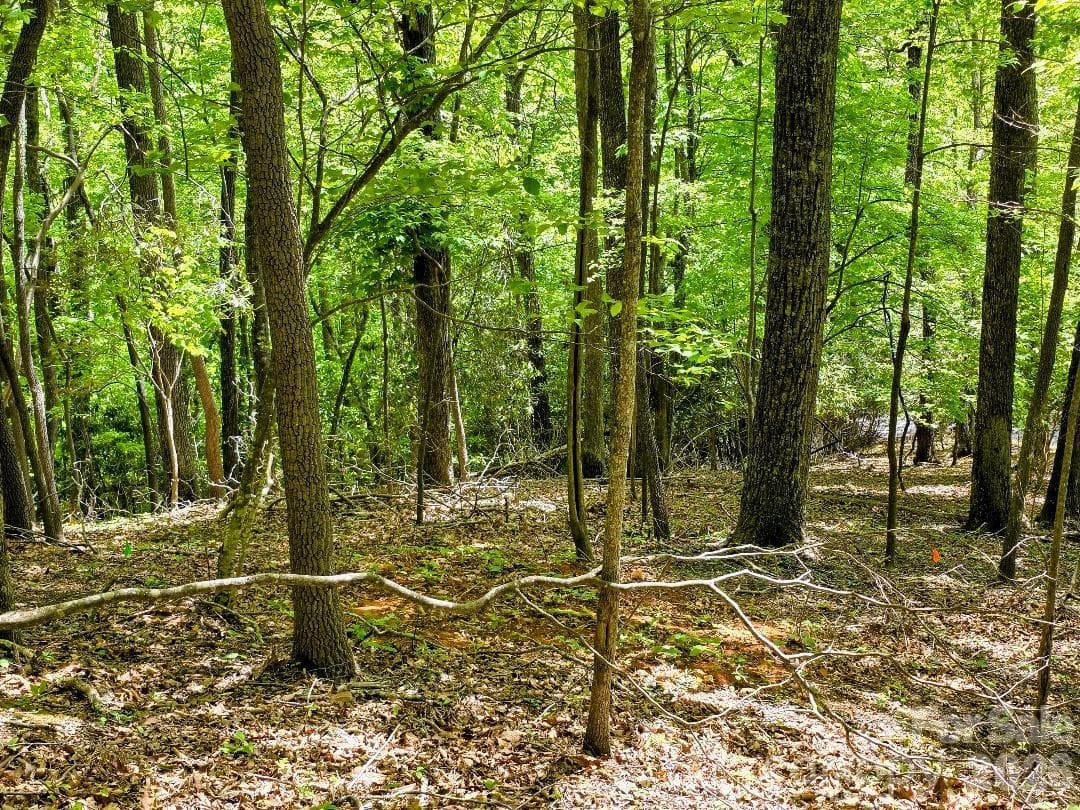 Lower section of Lot 12 - Burnsville