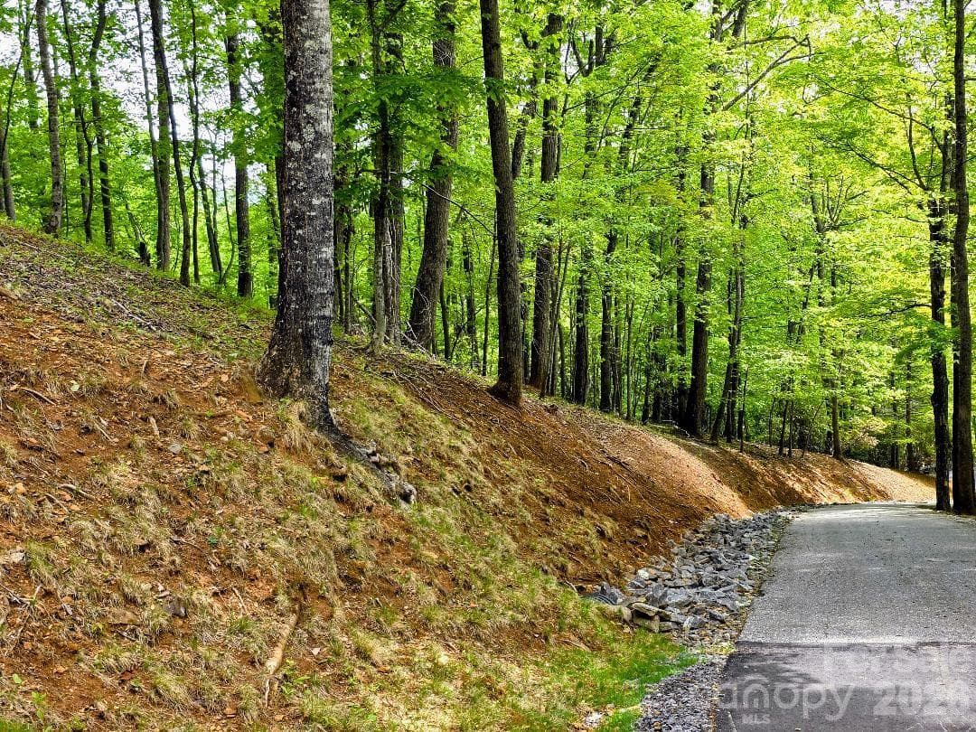 Lot 12 on the left side of Hickory Springs Road - Burnsville