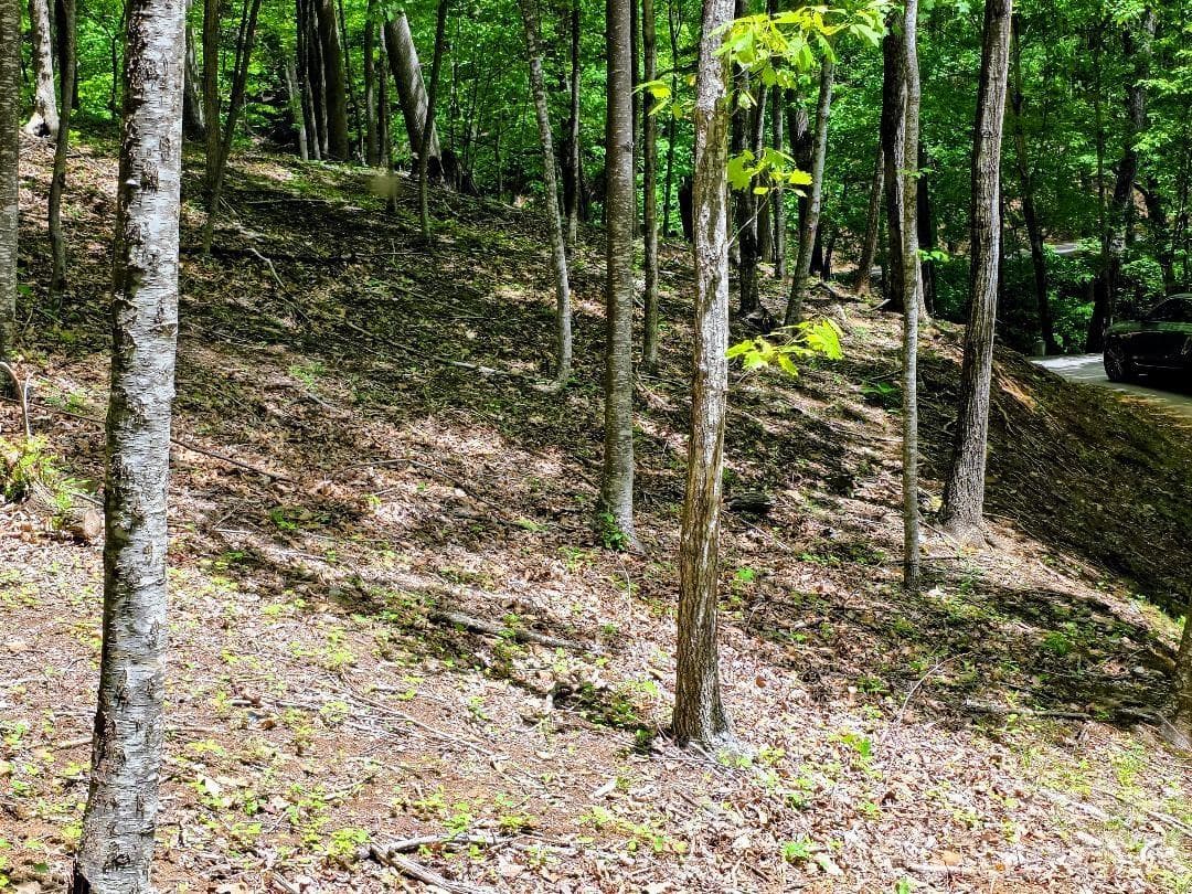 Lower edge of Lot 12 - Burnsville