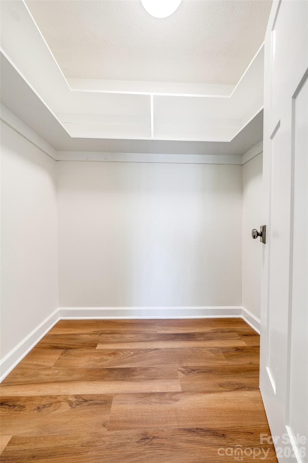 Basement level, secondary bedroom walk-in closet - 69 Milburn Lane, Hendersonville
