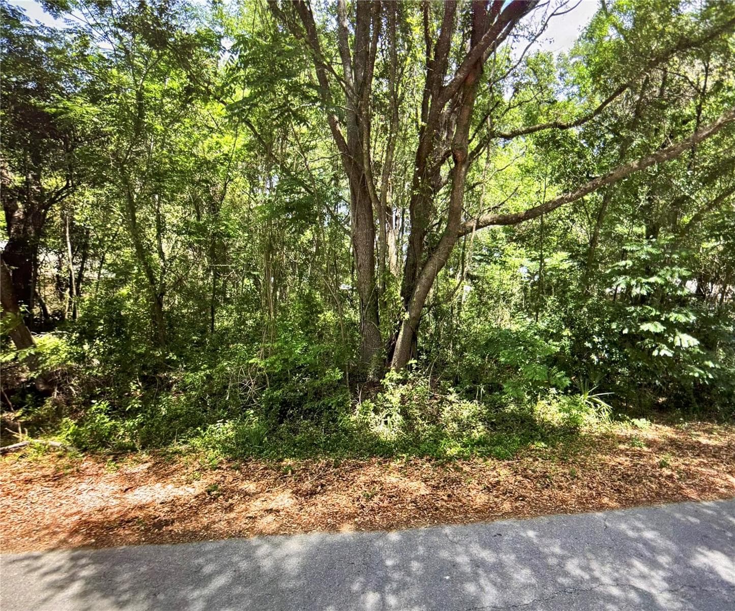 41 PINE TRACE CRSE