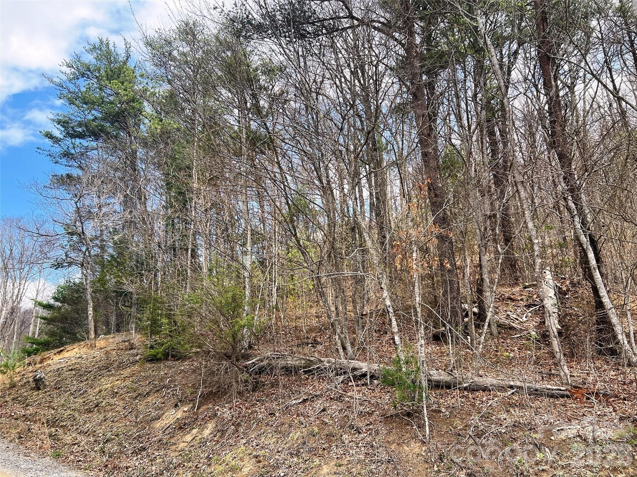 Lot at Clyde, photo 17 of 20