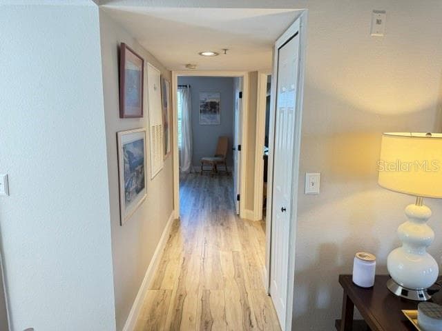 Hallway to bedrooms - LVF throughout! - 420 SUMMIT RIDGE PL #310, LONGWOOD