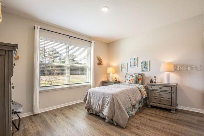 Model home - actual features may vary. - 12003 ROBINA RD, WEEKI WACHEE