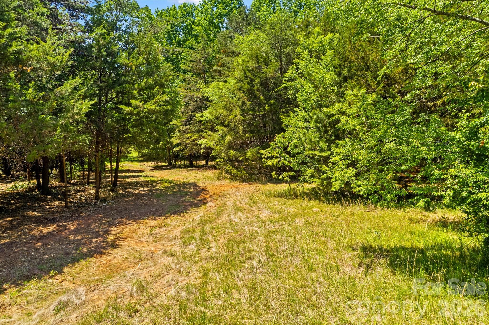Acreage at 190 Sheffield Road, Harmony, photo 6 of 13