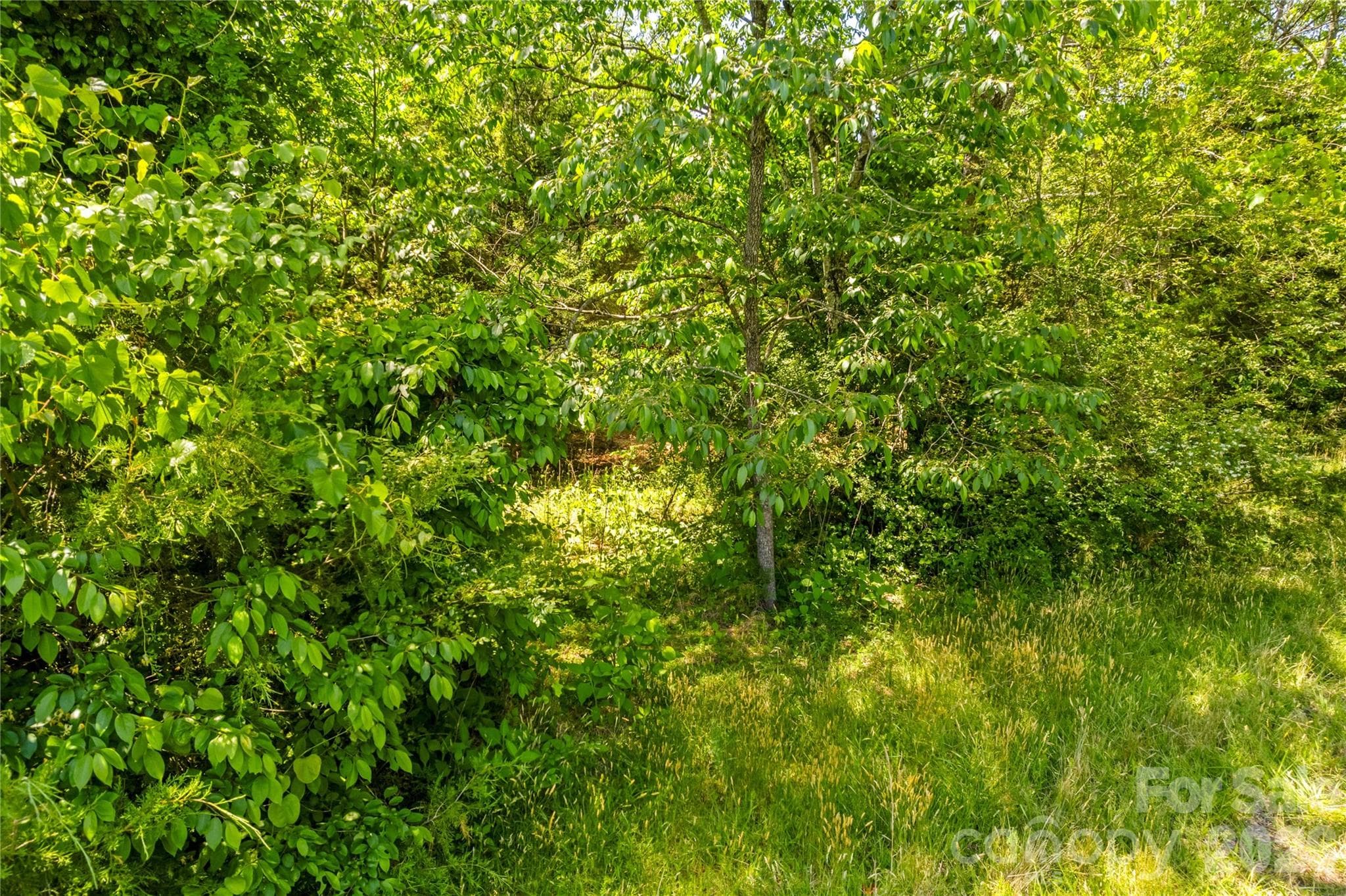 Acreage at 190 Sheffield Road, Harmony, photo 7 of 13
