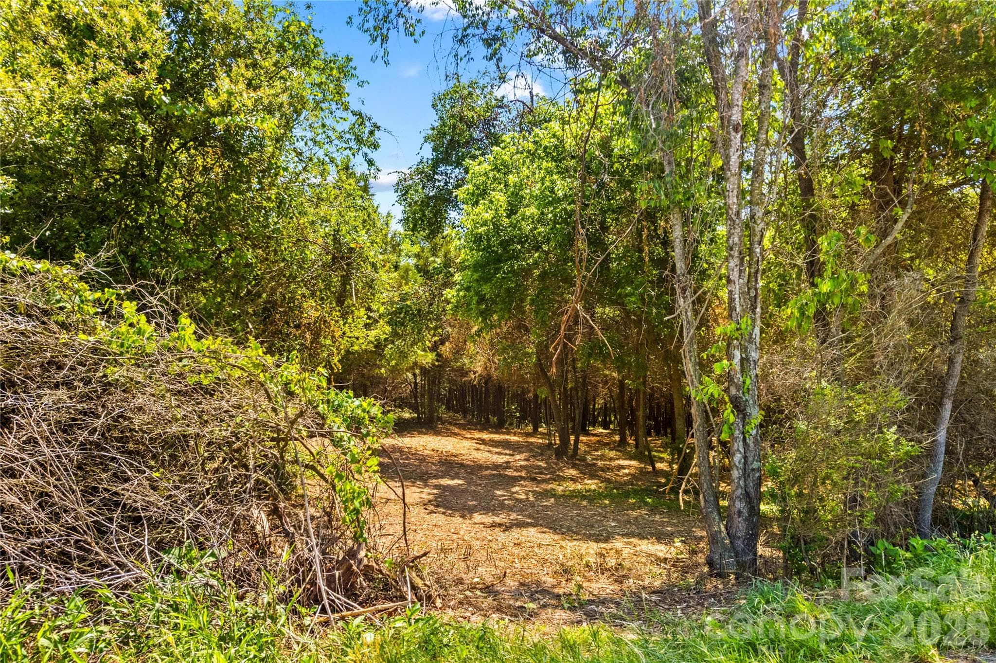 Acreage at 190 Sheffield Road, Harmony, photo 8 of 13