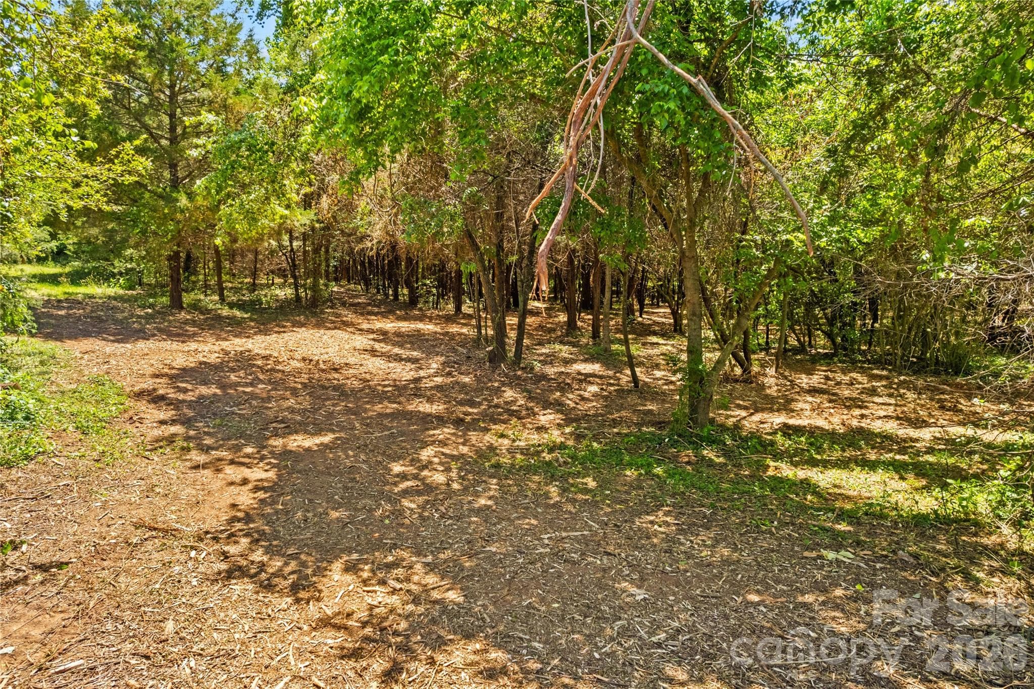 Acreage at 190 Sheffield Road, Harmony, photo 9 of 13