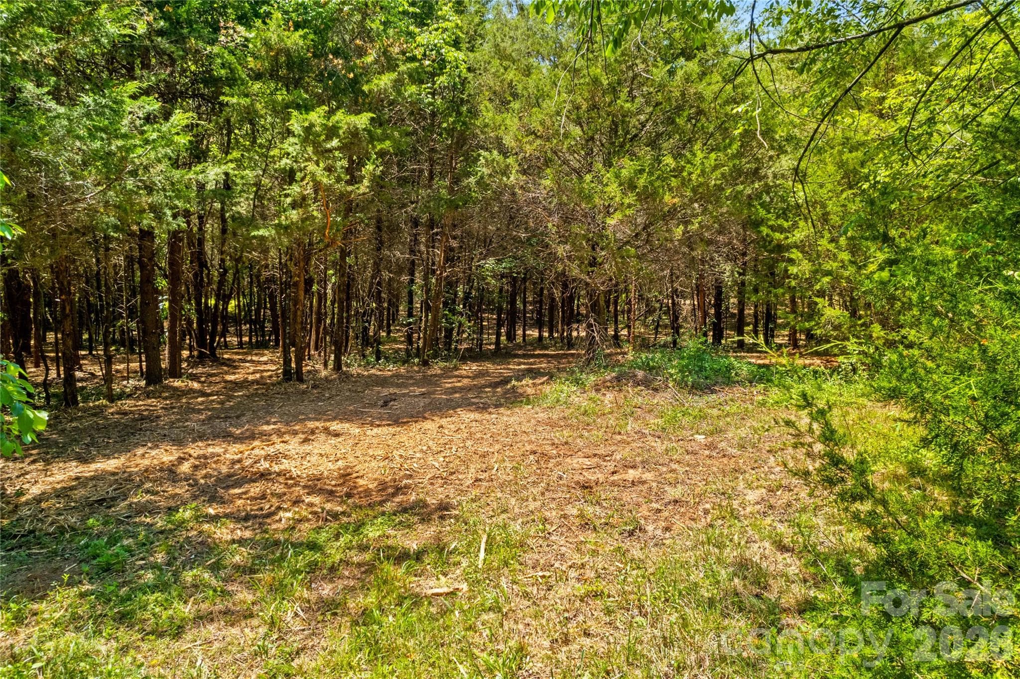 Acreage at 190 Sheffield Road, Harmony, photo 10 of 13