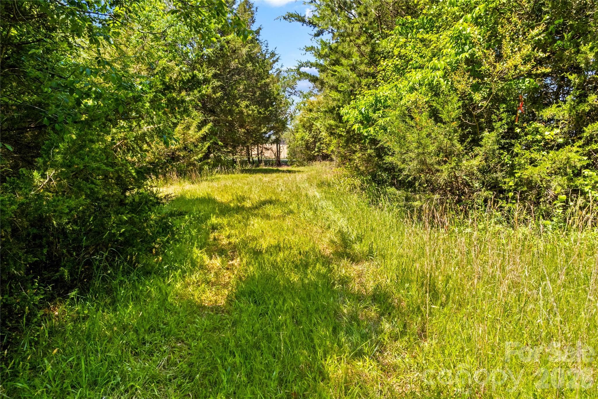 Acreage at 190 Sheffield Road, Harmony, photo 12 of 13