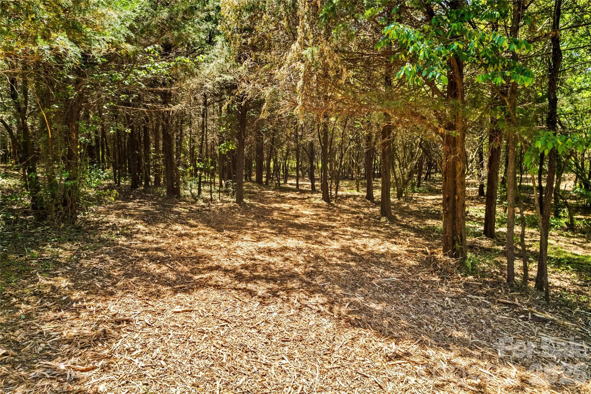 Acreage at 190 Sheffield Road, Harmony, photo 11 of 13
