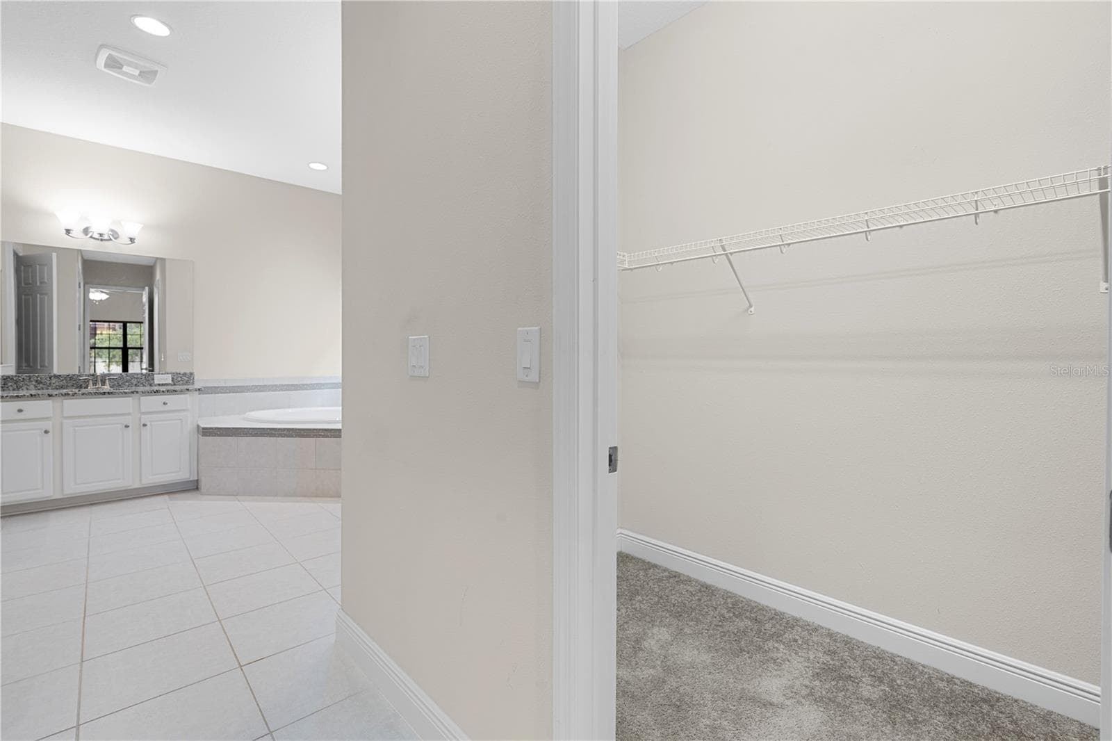 downstairs master bath 1 and walk-in closet - 13830 MOONSTONE CANYON DR, RIVERVIEW