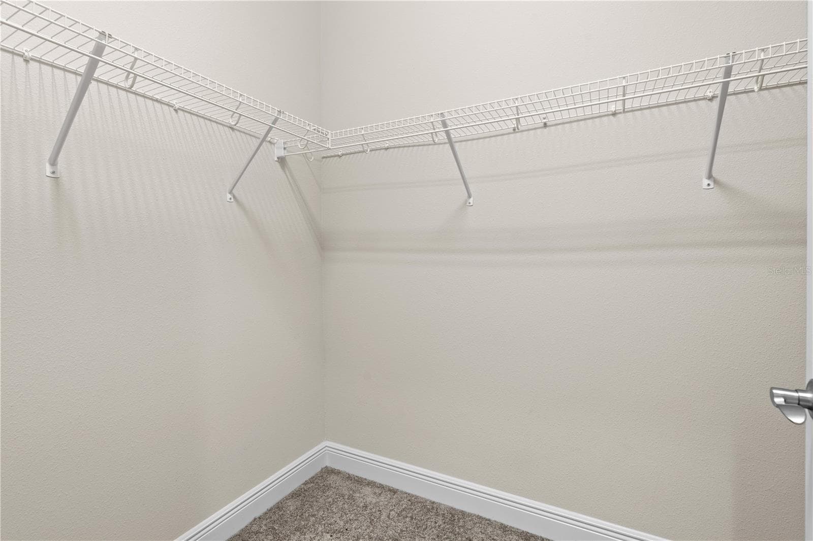 downstairs huge master walk-in closet - 13830 MOONSTONE CANYON DR, RIVERVIEW