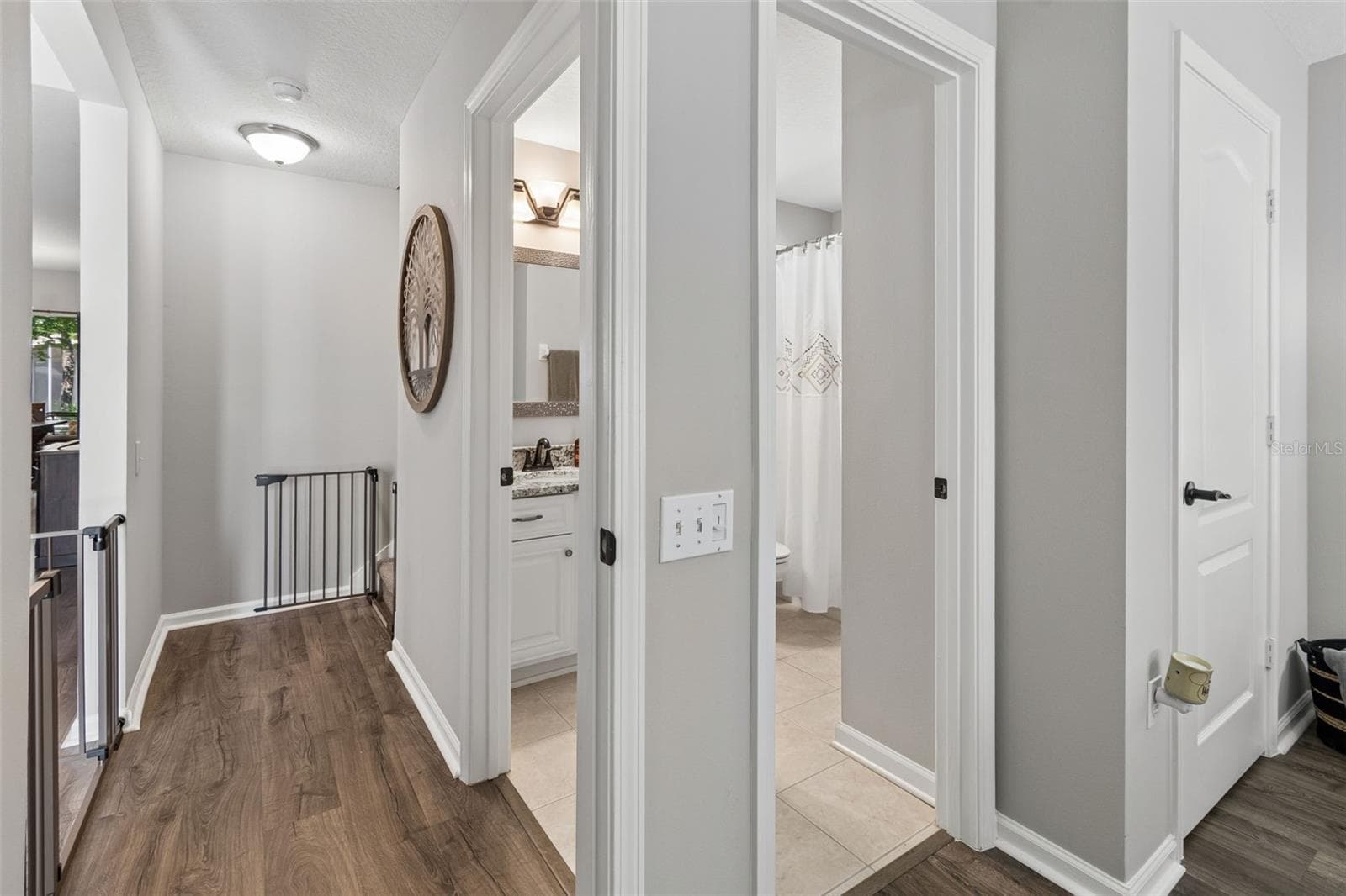 Access to bathroom from 2nd bedroom or hallway - 5401 LOOKOUT PASS, WESLEY CHAPEL