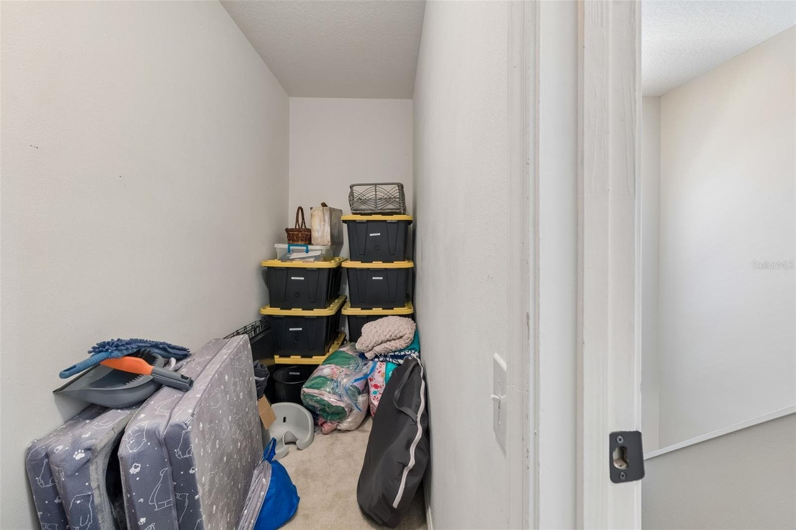 Lots of storage in upstairs closet - 5401 LOOKOUT PASS, WESLEY CHAPEL