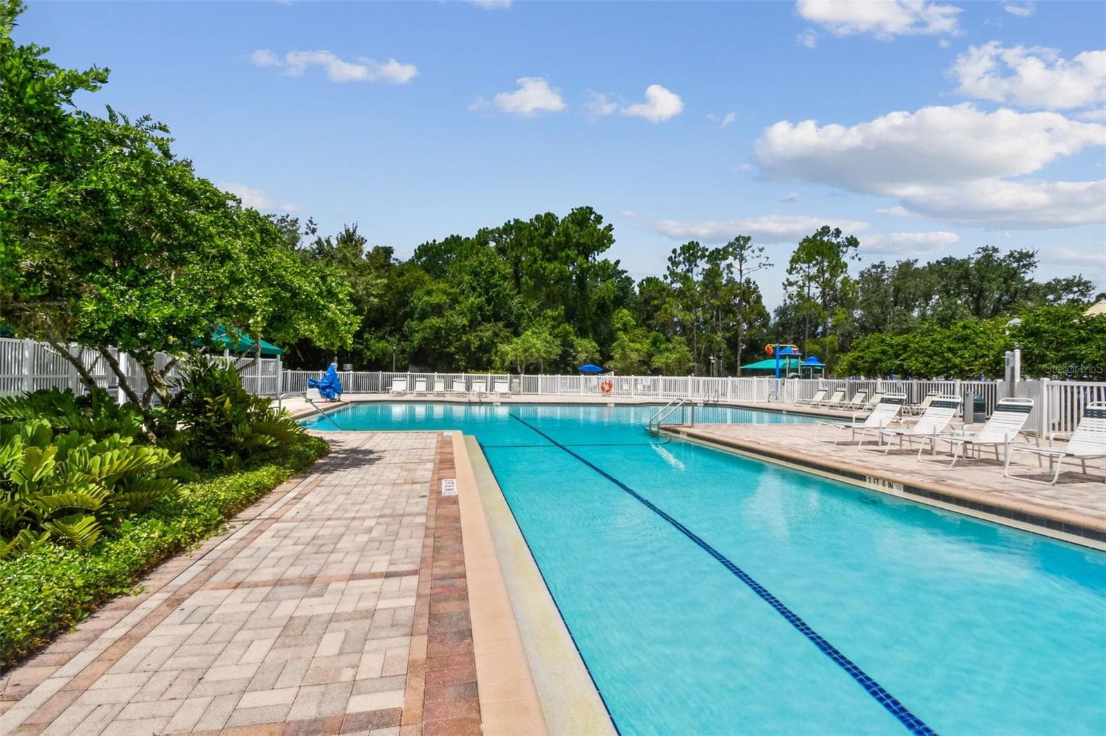 Community Heated Pool - 5401 LOOKOUT PASS, WESLEY CHAPEL