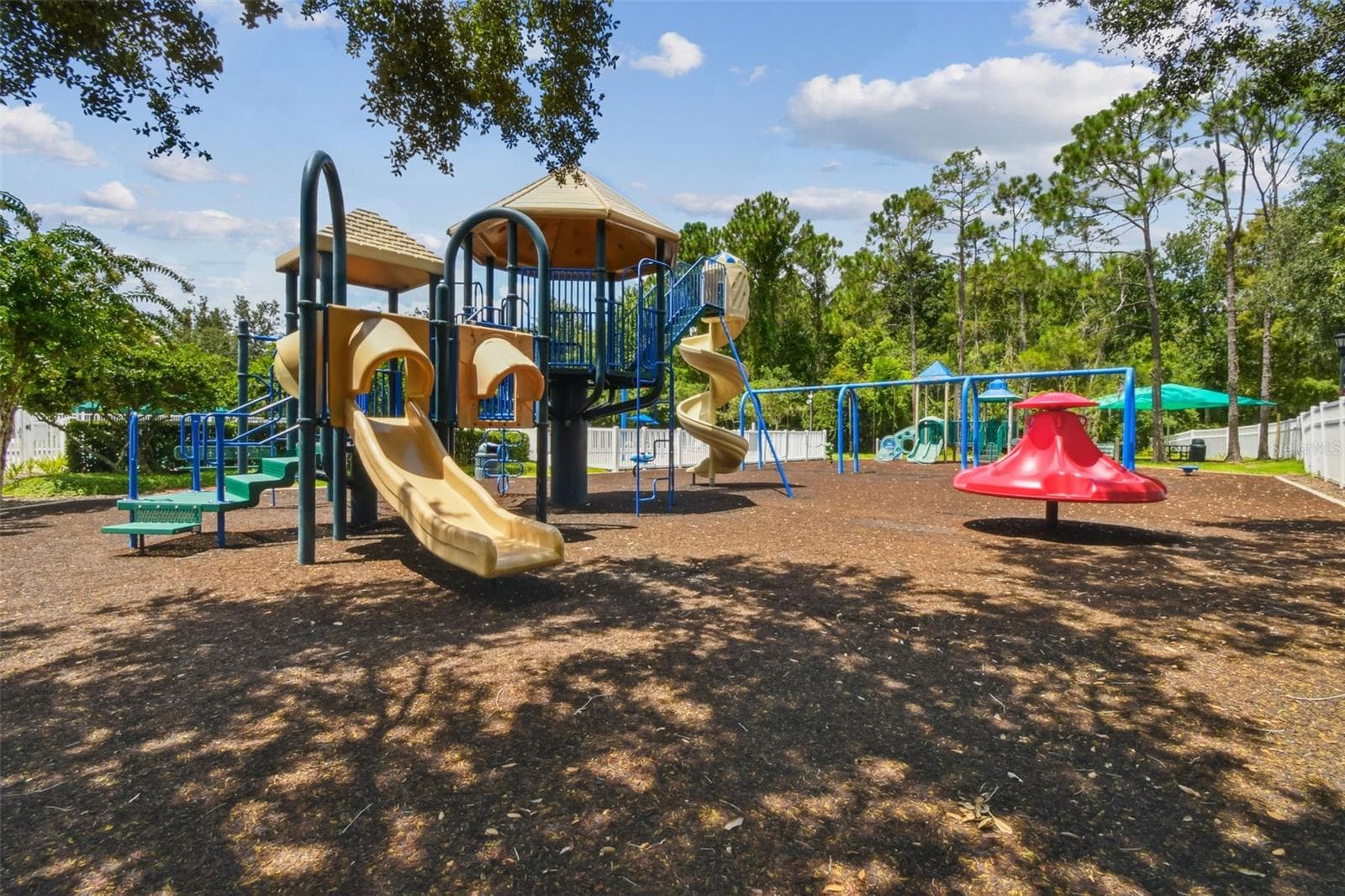 Playground - 5401 LOOKOUT PASS, WESLEY CHAPEL