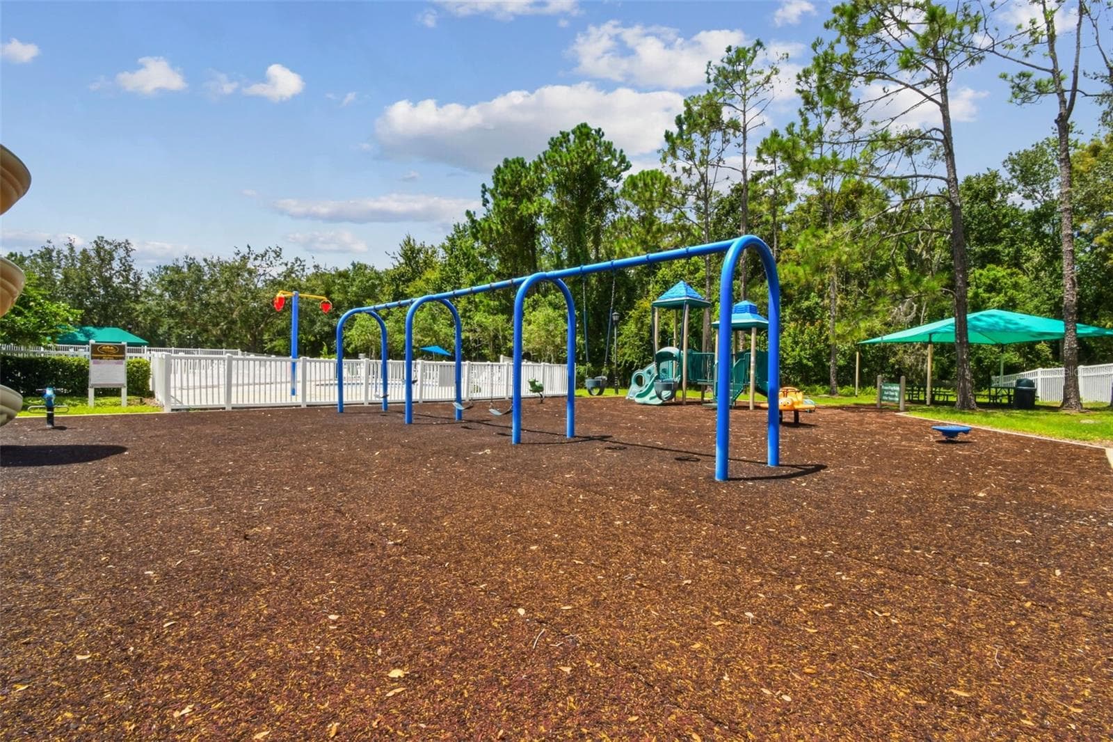Playground - 5401 LOOKOUT PASS, WESLEY CHAPEL