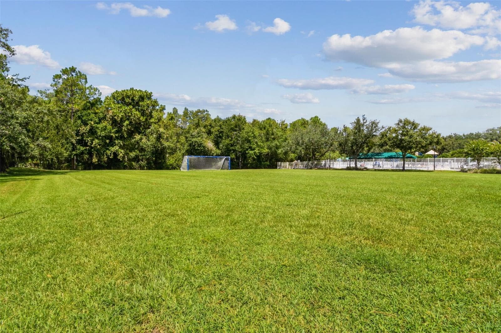Soccer field - 5401 LOOKOUT PASS, WESLEY CHAPEL