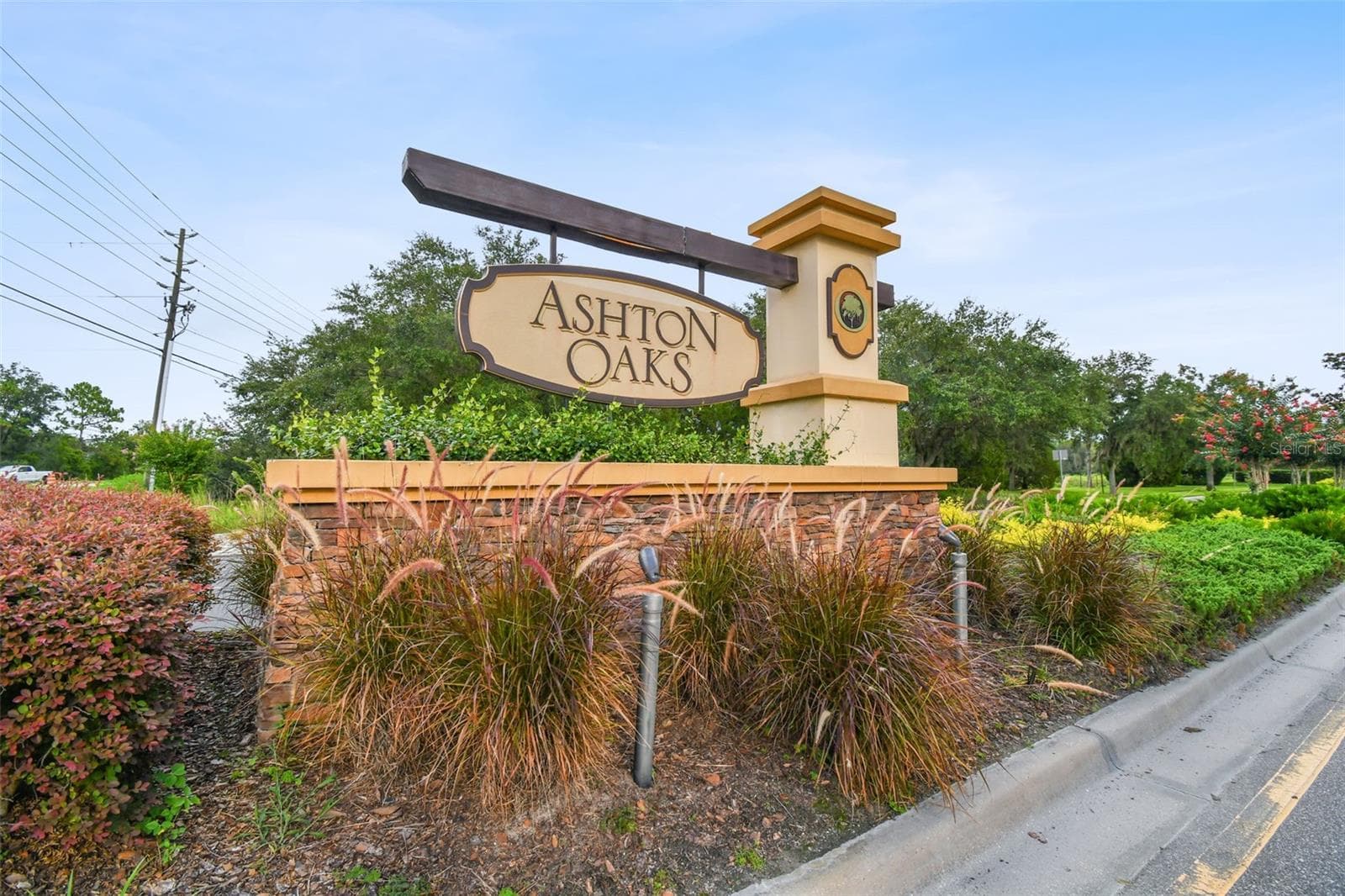 Villa at 4329 ASHTON MEADOWS WAY, WESLEY CHAPEL, photo 4 of 71
