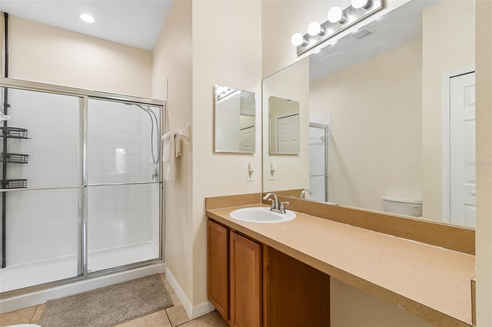 Villa at 4329 ASHTON MEADOWS WAY, WESLEY CHAPEL, photo 27 of 71