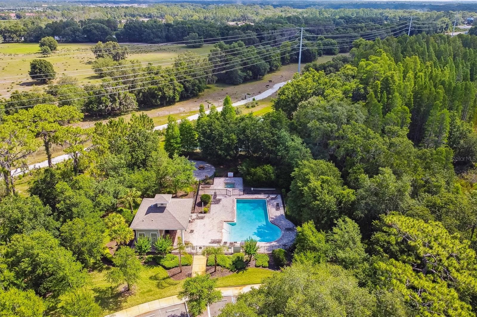 Villa at 4329 ASHTON MEADOWS WAY, WESLEY CHAPEL, photo 61 of 71