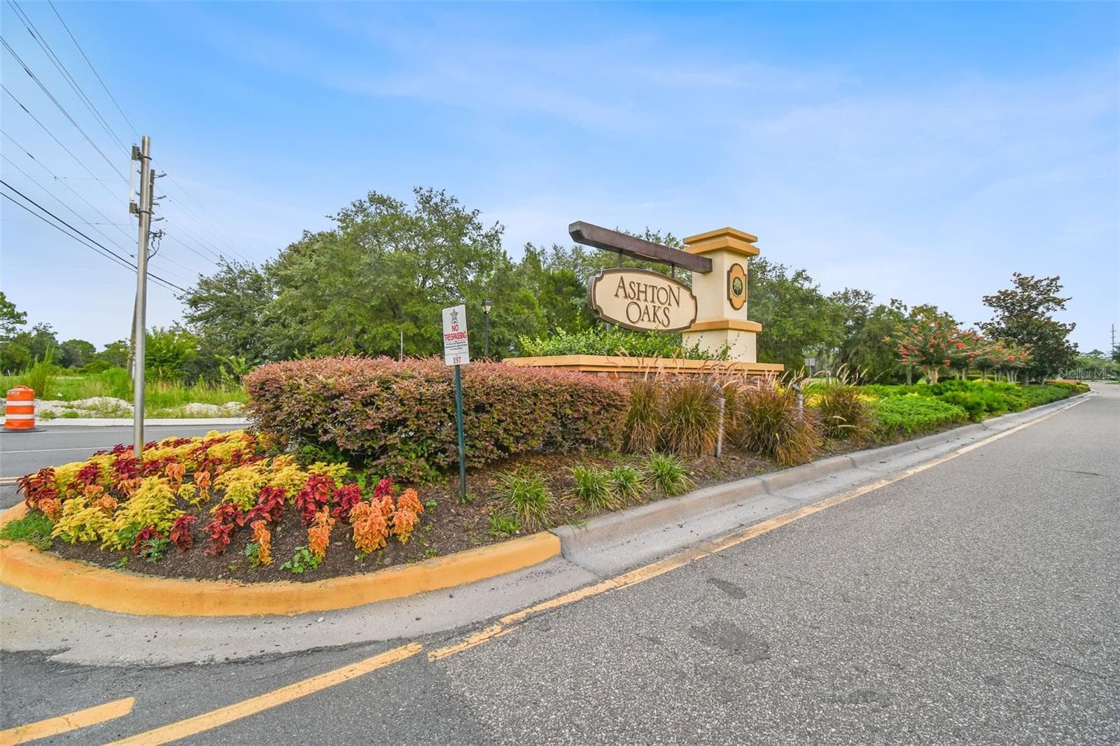 Villa at 4329 ASHTON MEADOWS WAY, WESLEY CHAPEL, photo 68 of 71